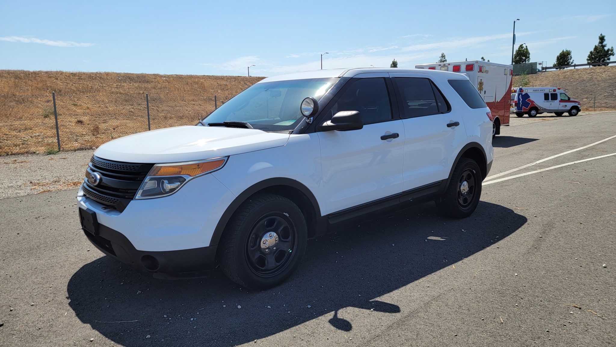 Police Interceptor — image 3